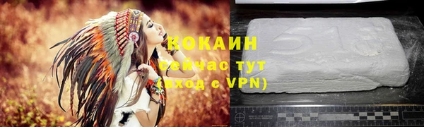 мдпв Пересвет