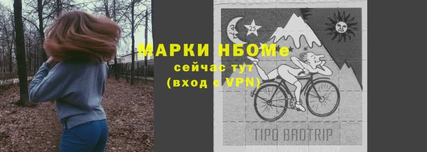 дживик Переславль-Залесский