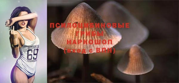 мдпв Пересвет