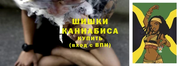 мдпв Пересвет