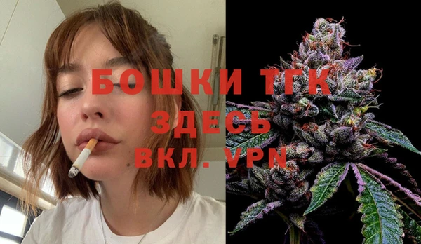 дживик Переславль-Залесский