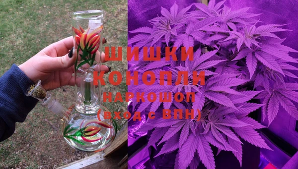 мдпв Пересвет